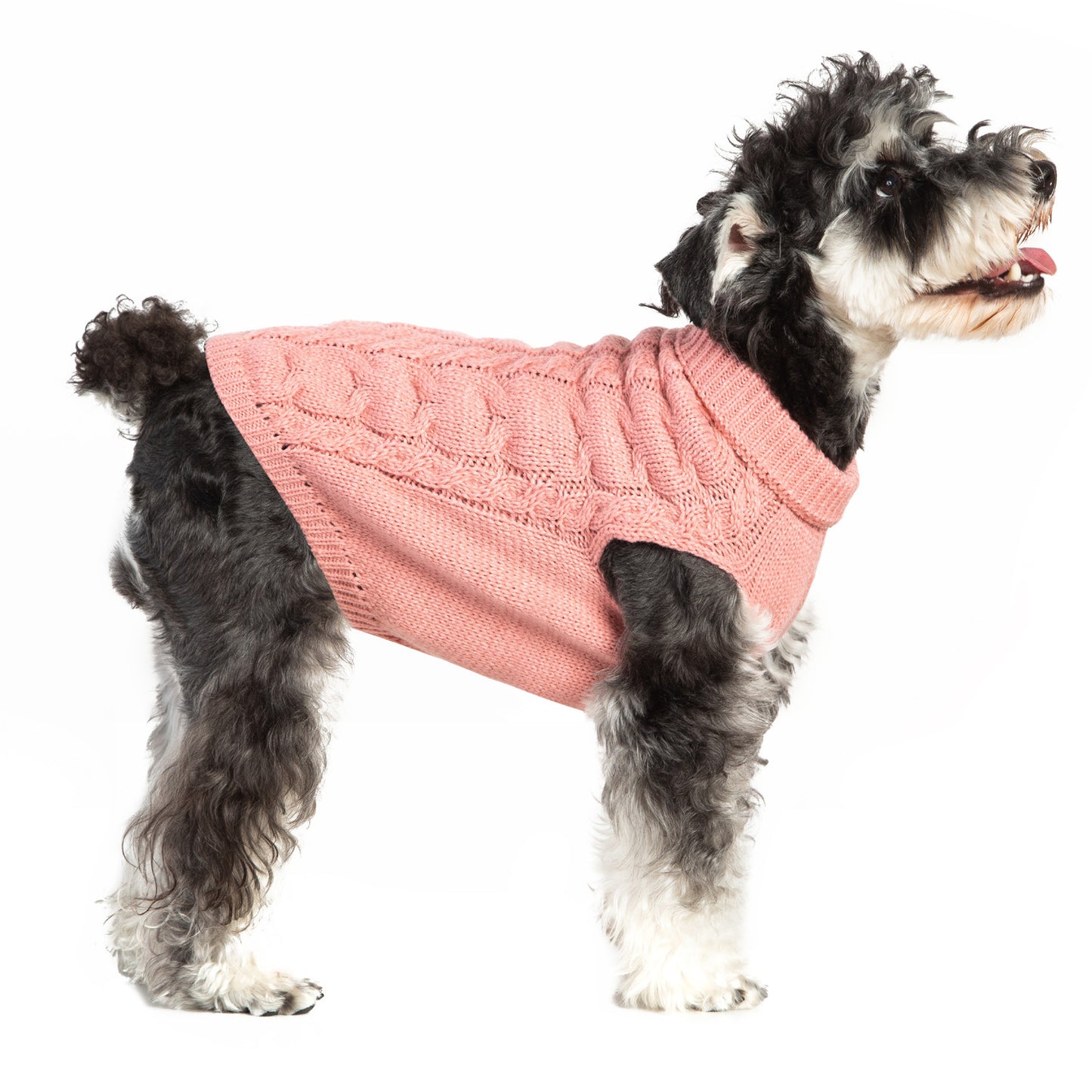 New Autumn And Winter Warm Woolen Pet Clothes