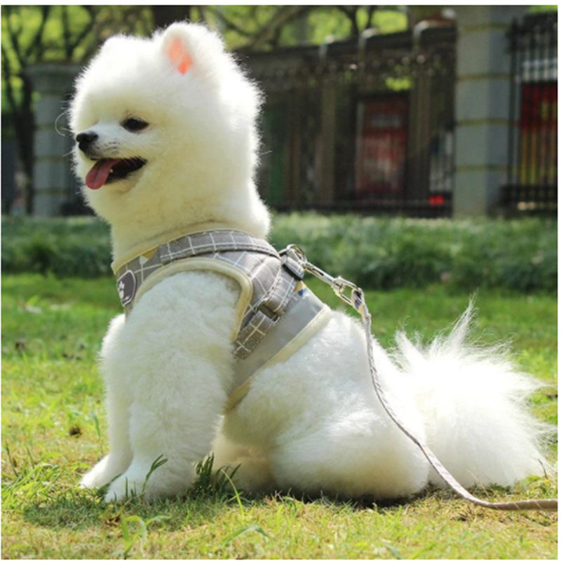 Dog traction rope vest walking dog rope