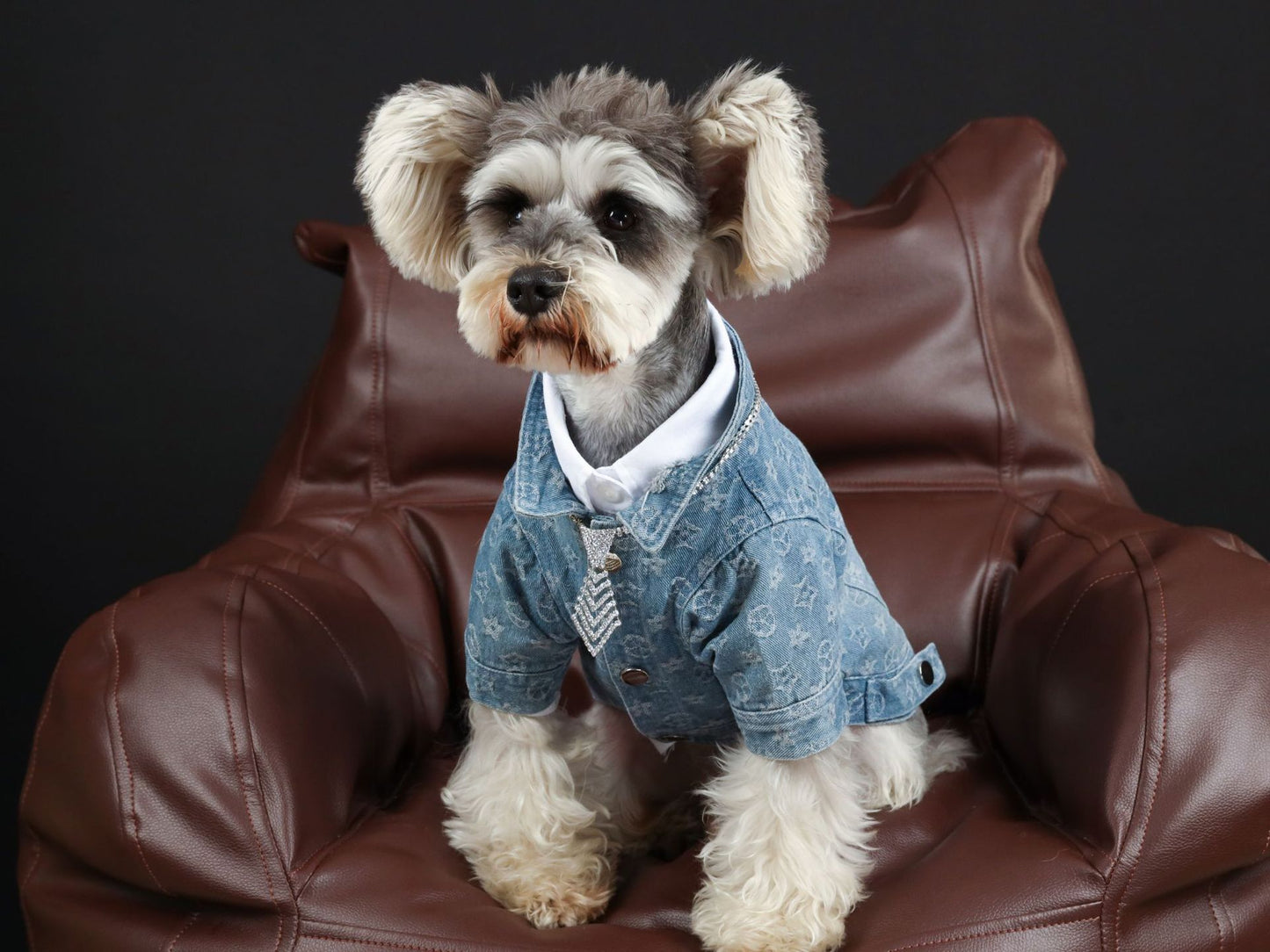 Pet Clothes Spring Summer Presbyopia Denim Shirt