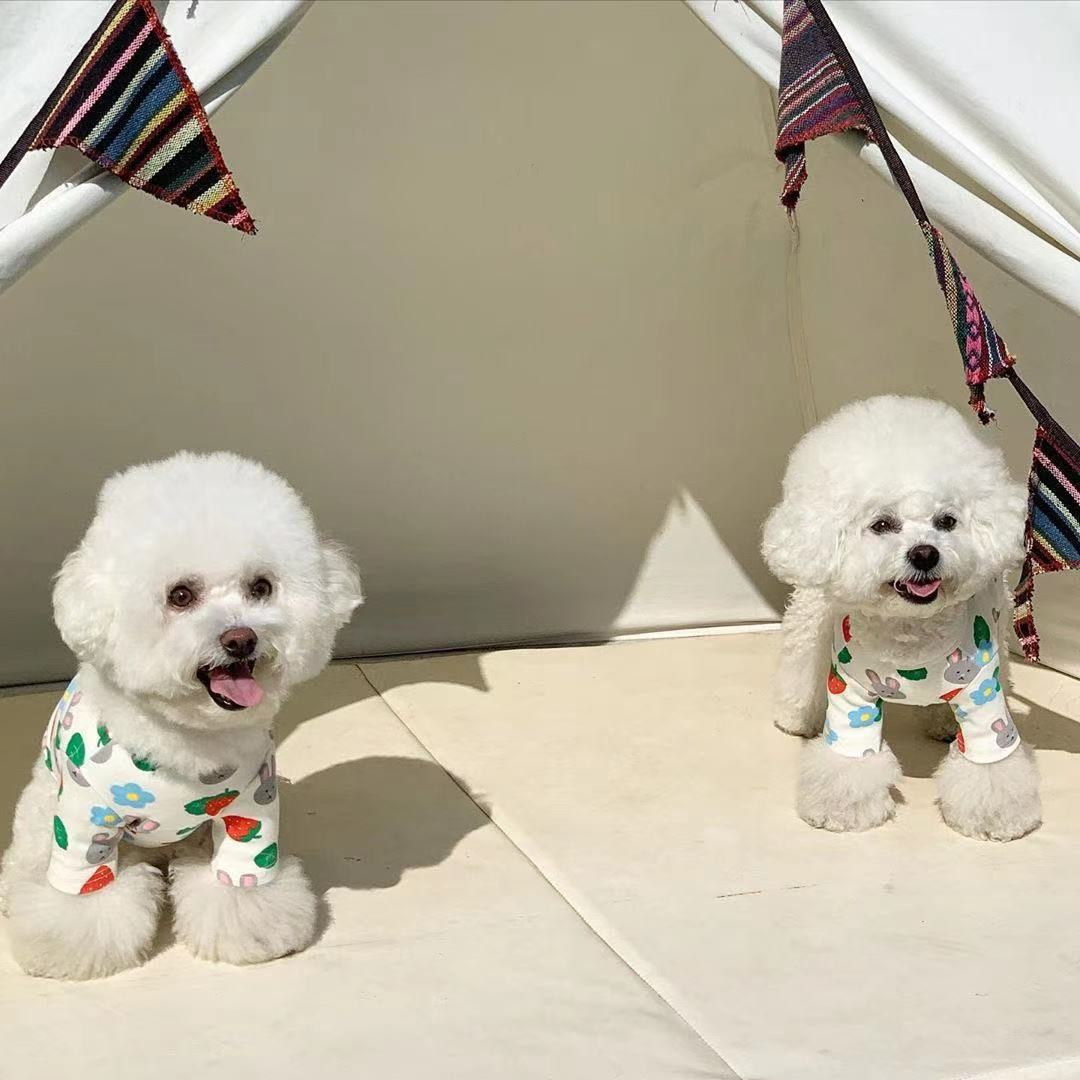 Strawberry Bunny Vest Keep Warm Dog Cute