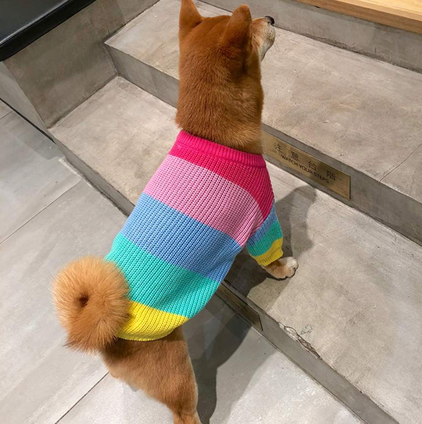 Rainbow sweater small dog puppies clothes