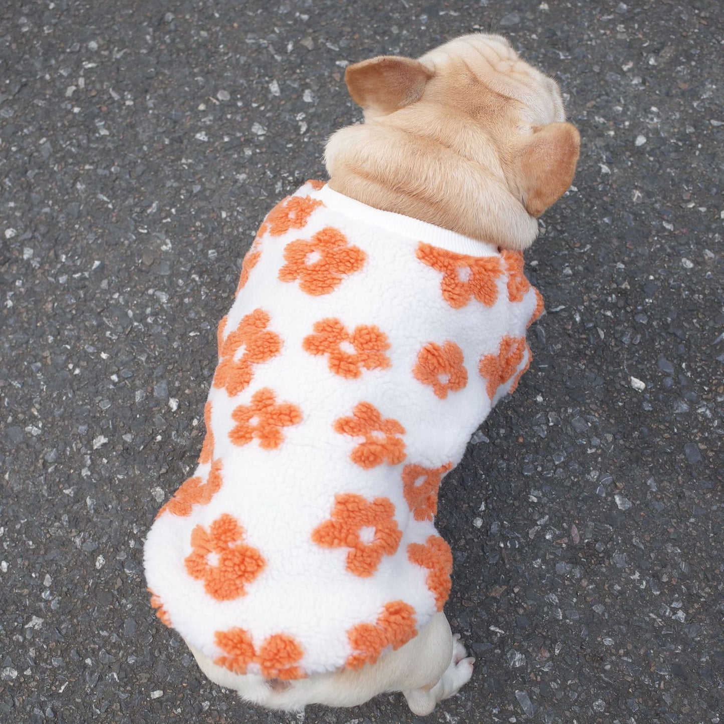 Dog Autumn And Winter Thickened Grain Flower Plush Coat