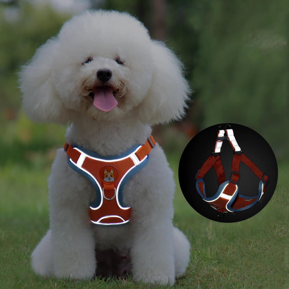 New Dog Leash And Harness Set Pet Dog Harness And Leash Set