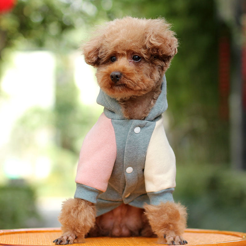 Small Dog Pet Autumn Coat Keeps Warm