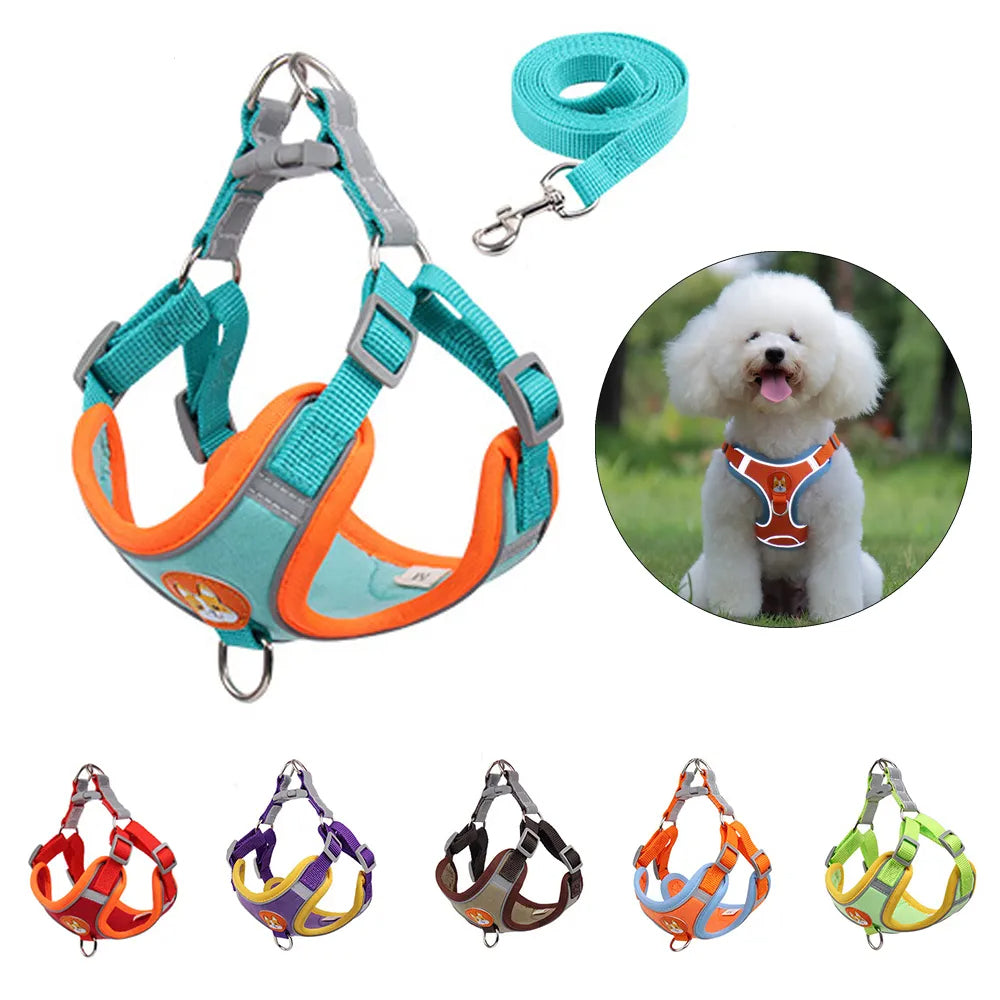 New Dog Leash And Harness Set Pet Dog Harness And Leash Set