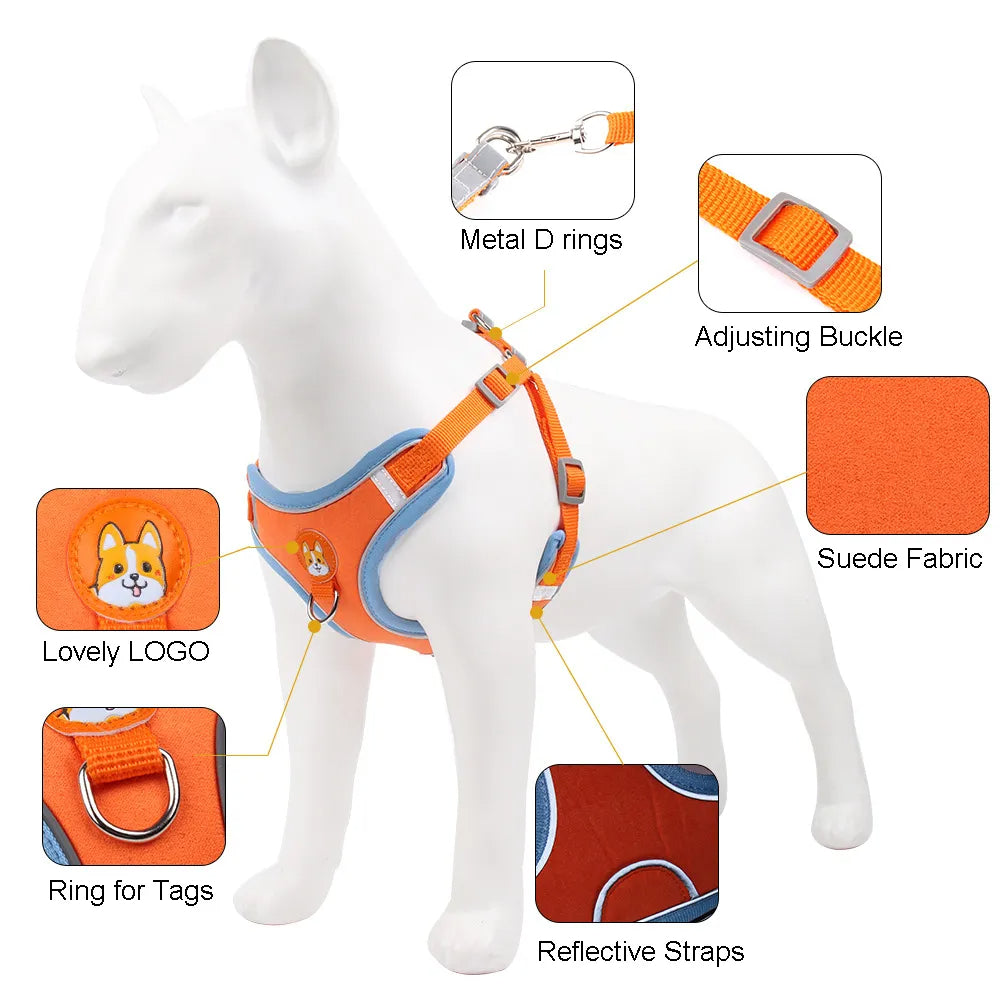 New Dog Leash And Harness Set Pet Dog Harness And Leash Set