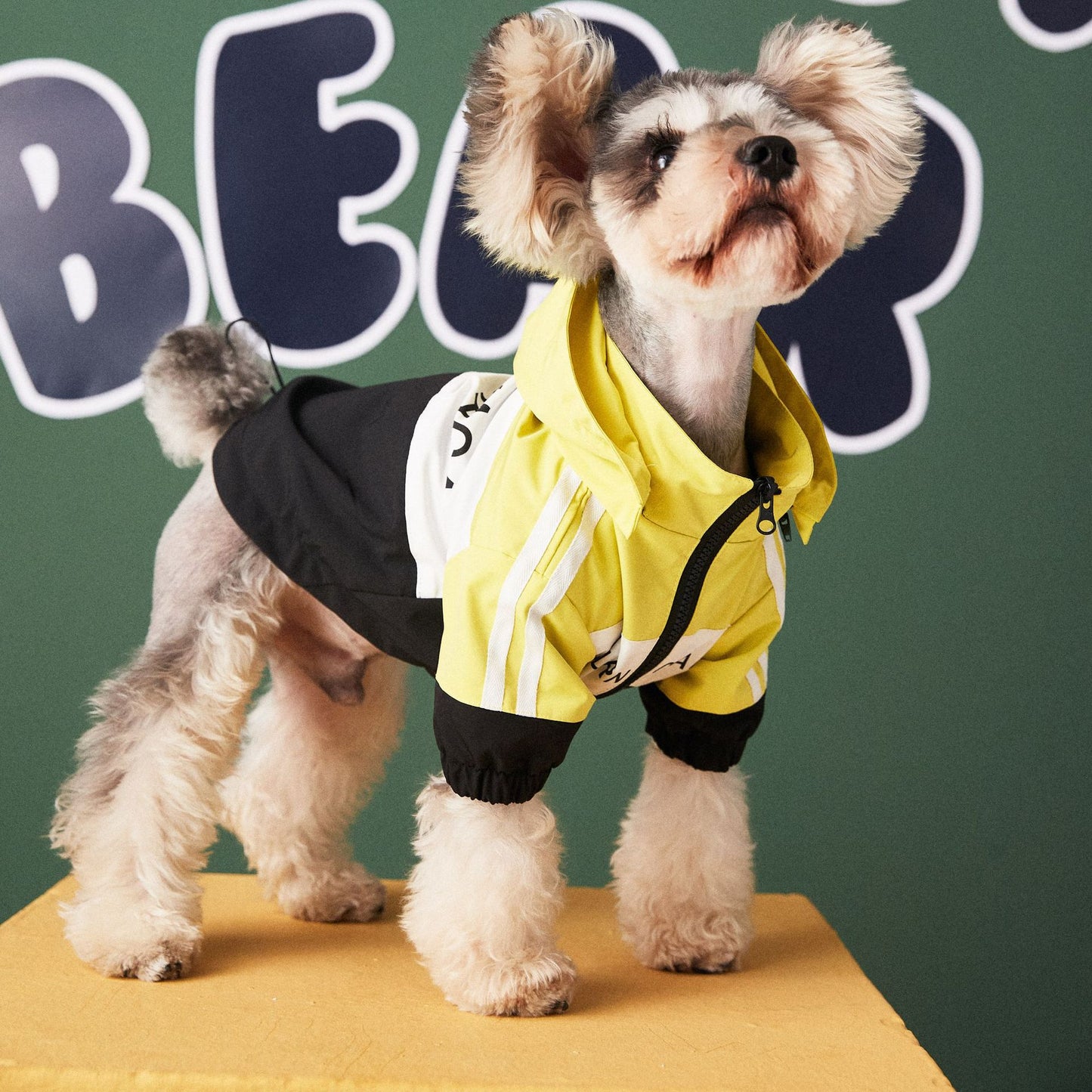 Dog Clothes Waterproof Raincoat Jacket