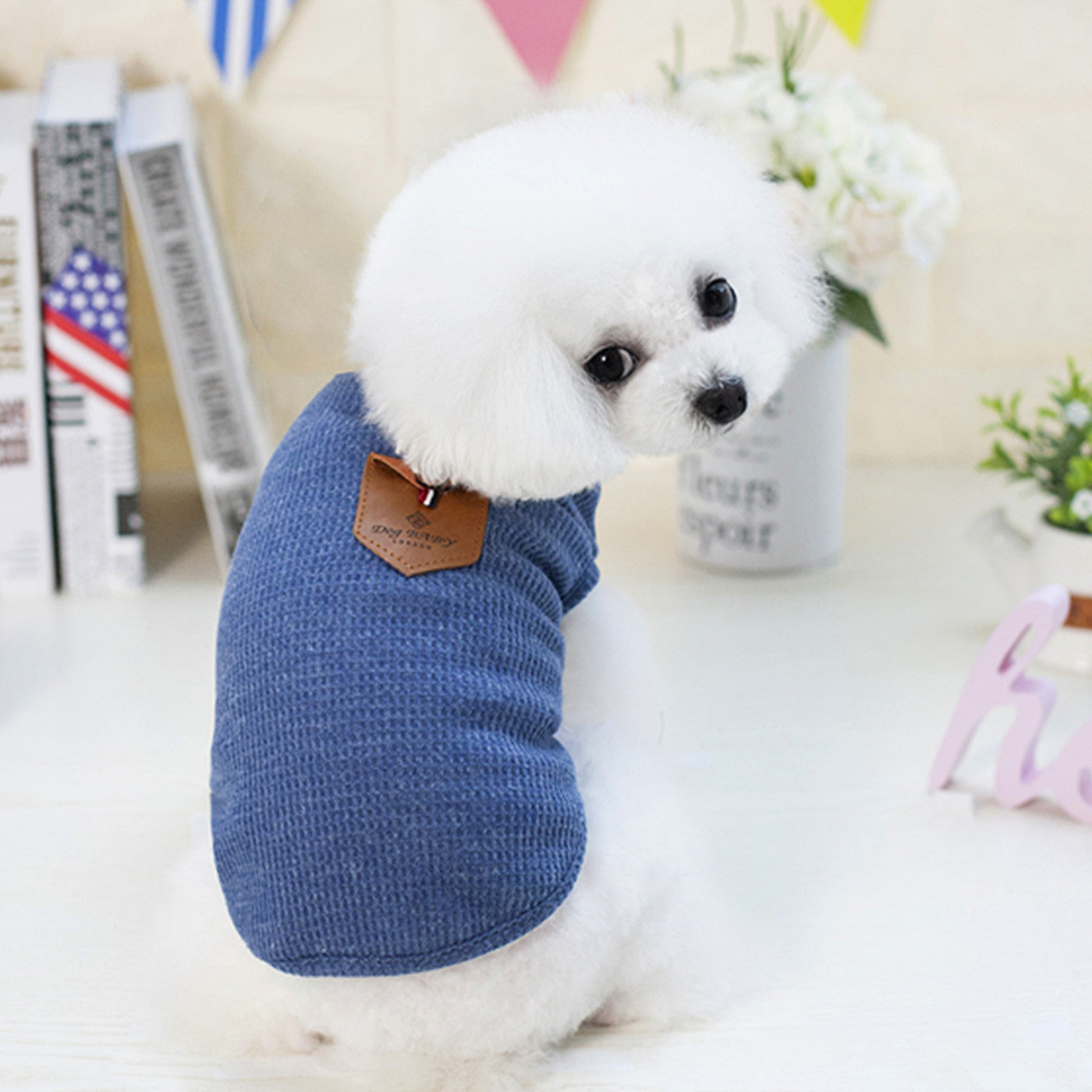 Solid color dog breathable T-shirt vest