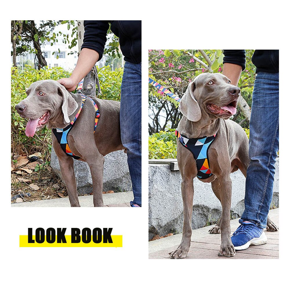 Dog's chest harness traction rope