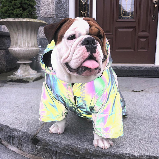 Dog Windbreaker Hoodie Reflective Clothes