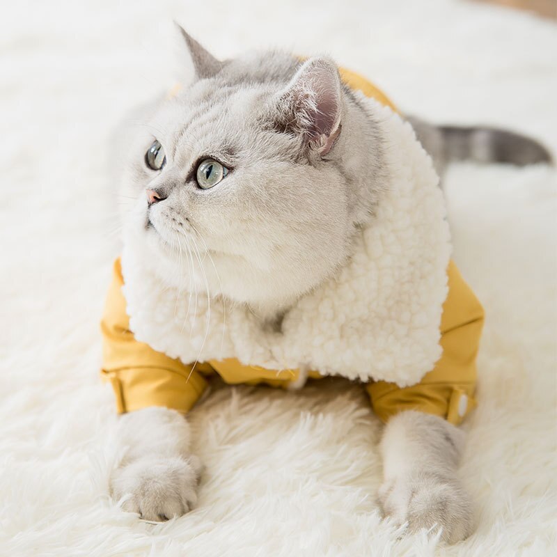 Warm Pet Coat Jacket Winter Clothes Thicken Dog Cat Outfit