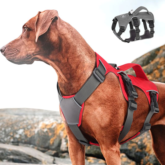 Dog Traction Rope Vest Style Chest Strap Adjustable