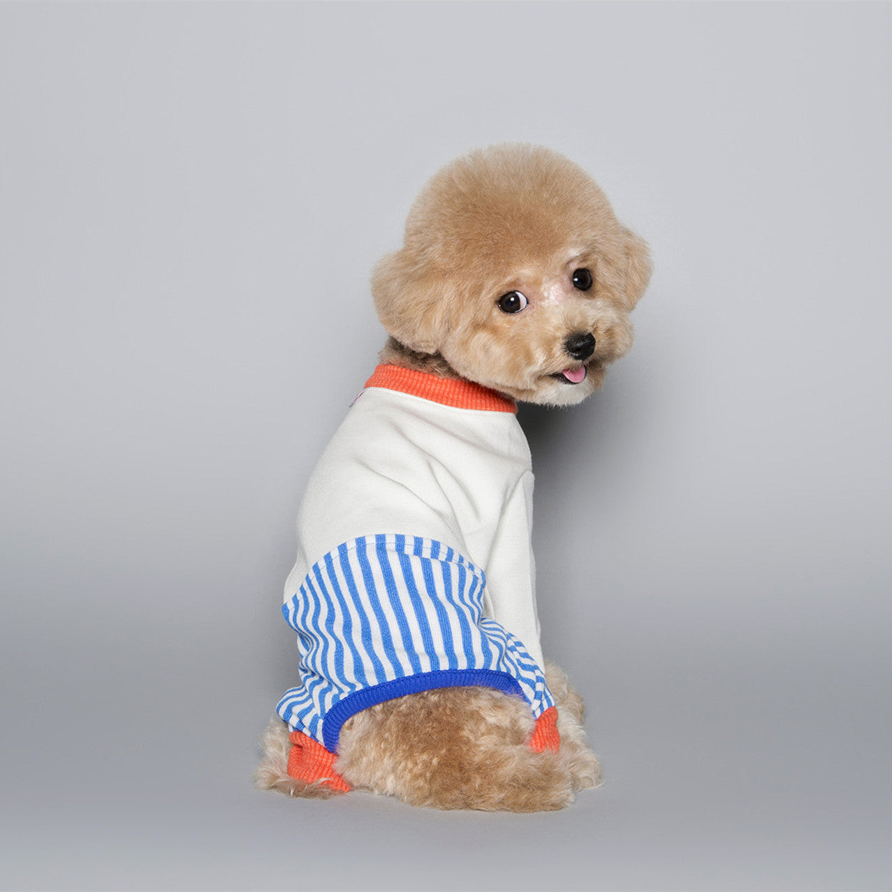 Pet Dog Fashion Color Blocking Jumpsuit