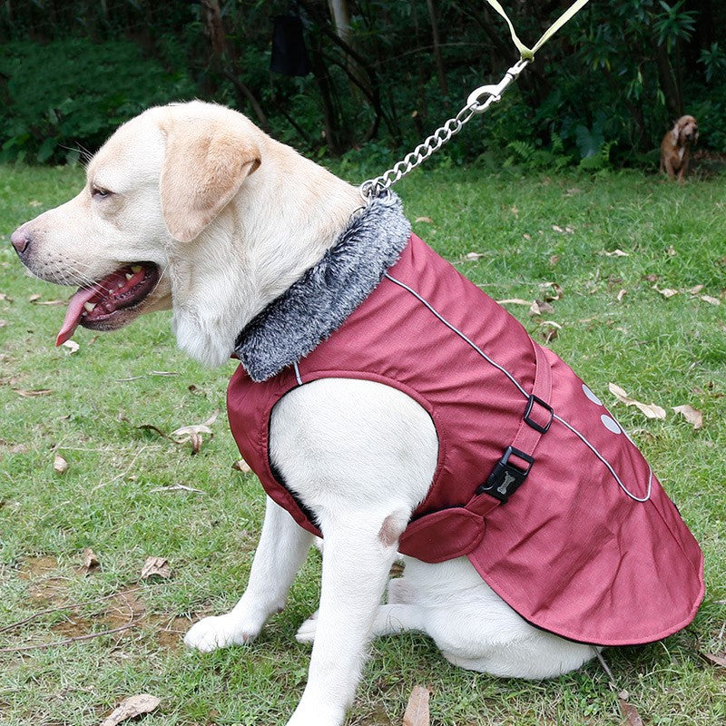 Big dog waterproof and warm vest