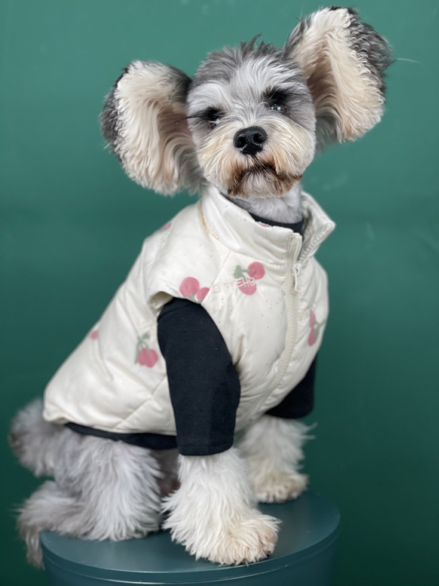 Fashion Dog Clothes Autumn And Winter Warm Cherry Vest