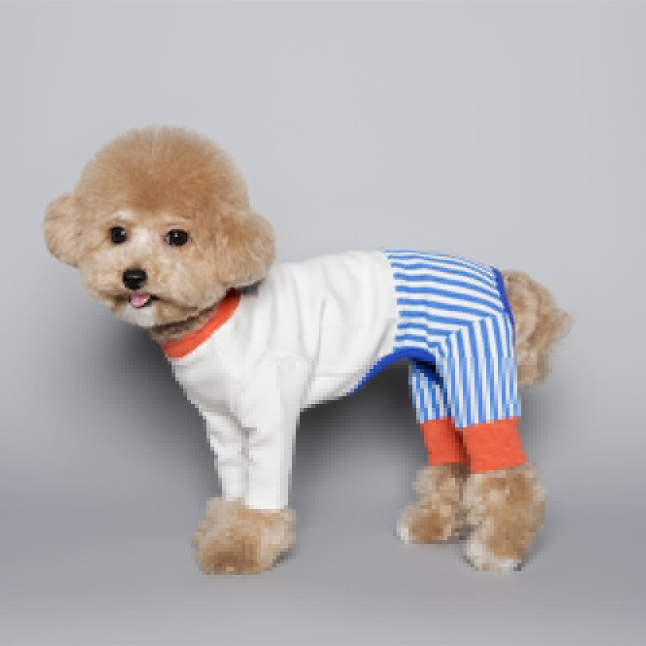 Pet Dog Fashion Color Blocking Jumpsuit