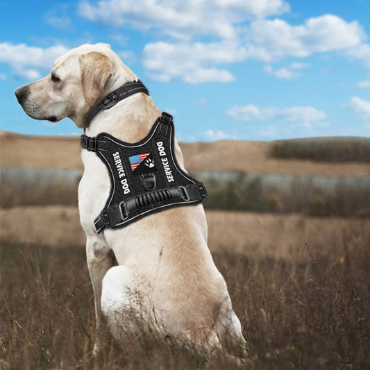 Shock Absorption Comfortable Night Vision Reflective Pet Harness