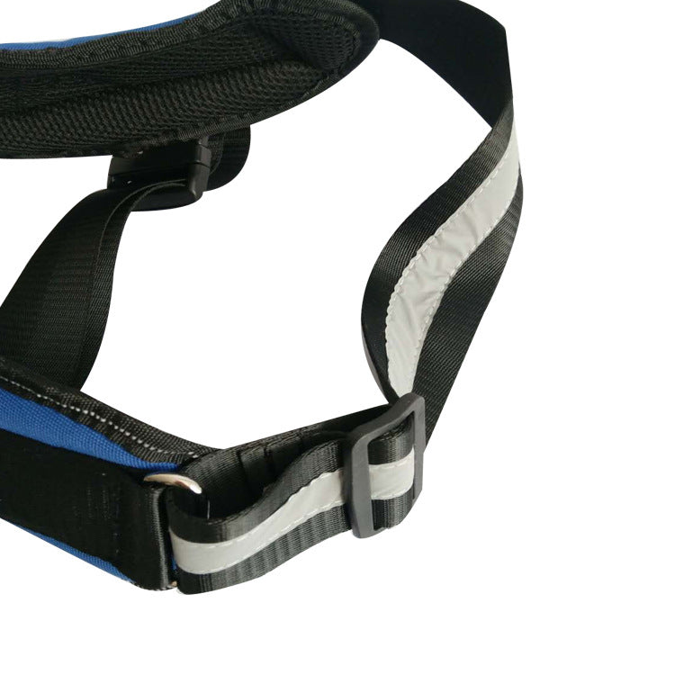 Pet chest strap with dog leash