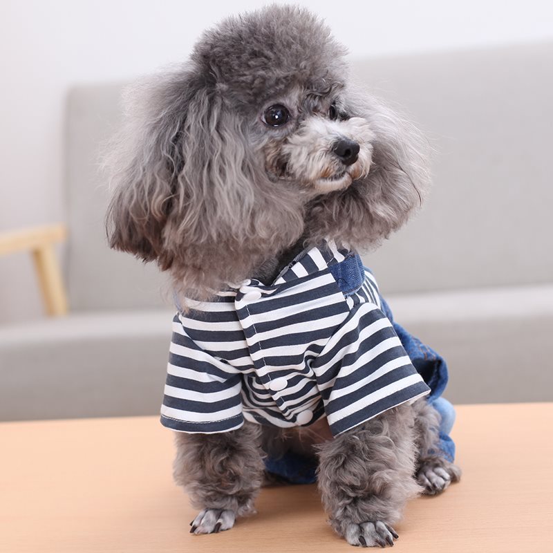 Dog dress stripe denim belt pants