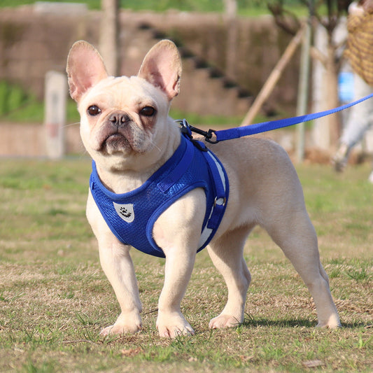 Vest Type Dog Leash Is Reflective And Breathable