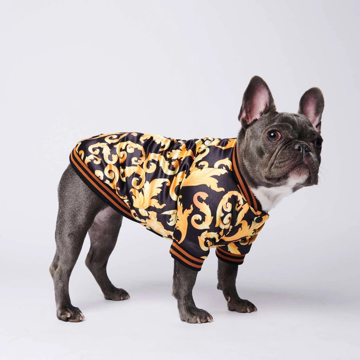 Warm plus cotton tide brand dog coat