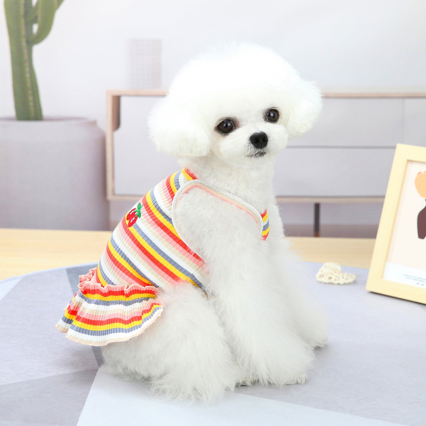 Pet Clothes Dog Color Stripes Skirt Vest