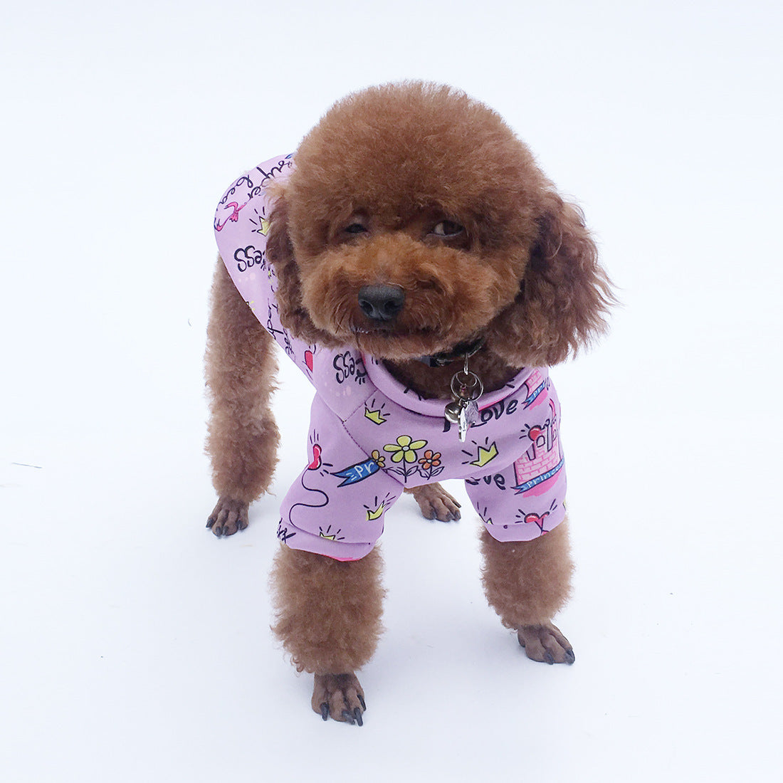 Dog Clothes Autumn And Winter Princess Hoodie With Velvet