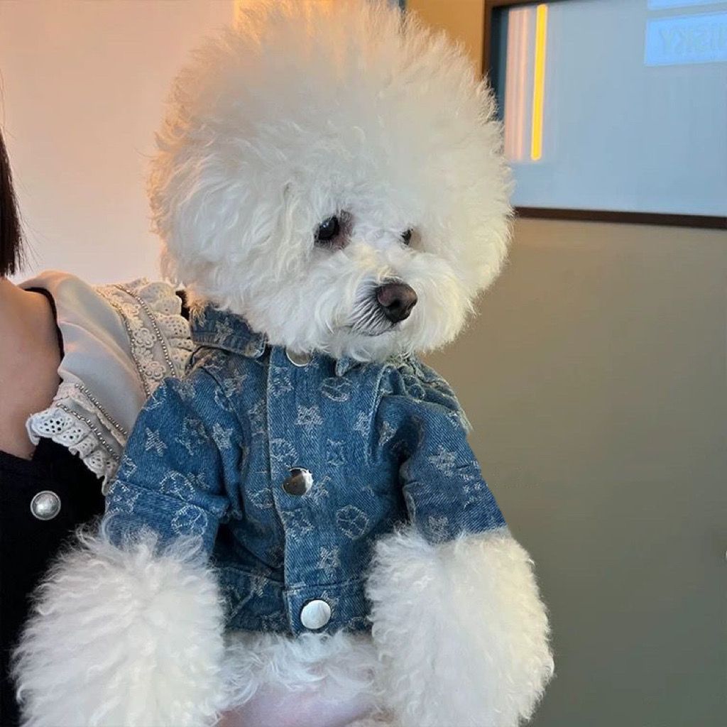 Fashion Dog Denim Jacket Trendy Clothing