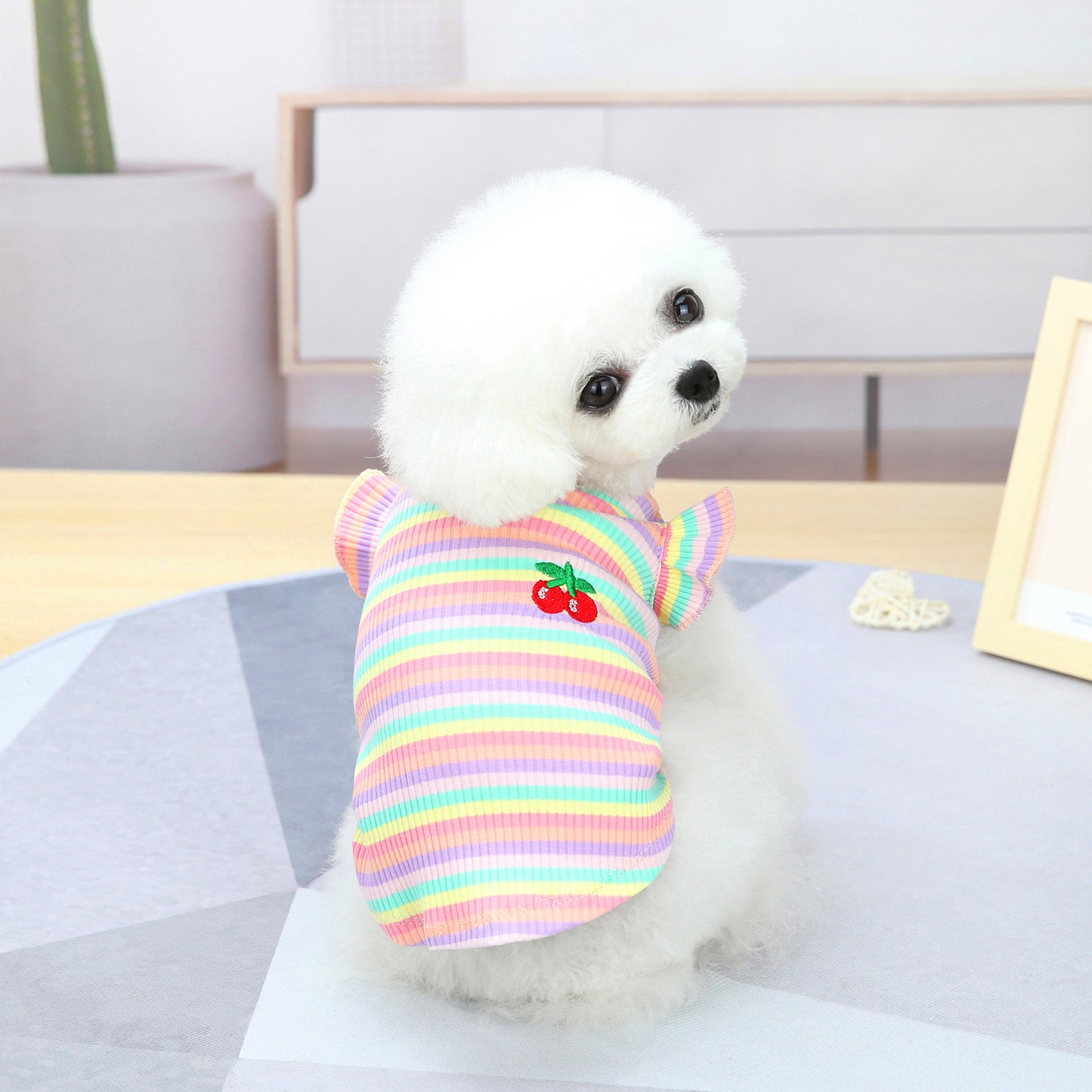 Pet Clothes Dog Color Stripes Skirt Vest