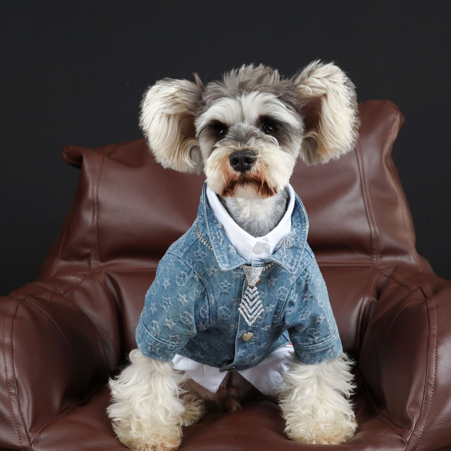 Pet Clothes Spring Summer Presbyopia Denim Shirt