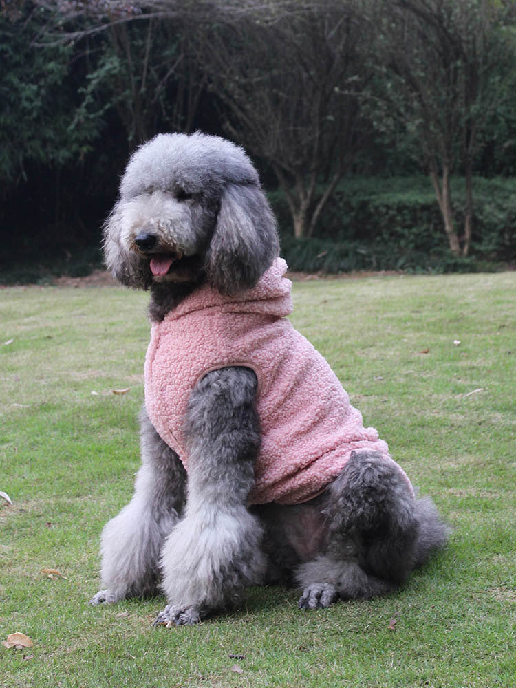 Pet Dog Hooded Sweater Autumn And Winter Style