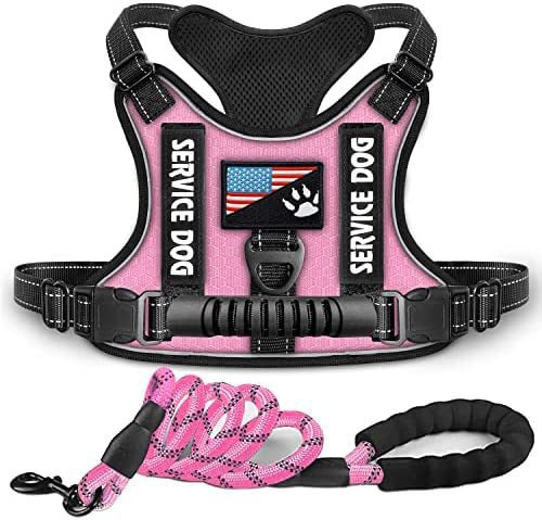 Shock Absorption Comfortable Night Vision Reflective Pet Harness