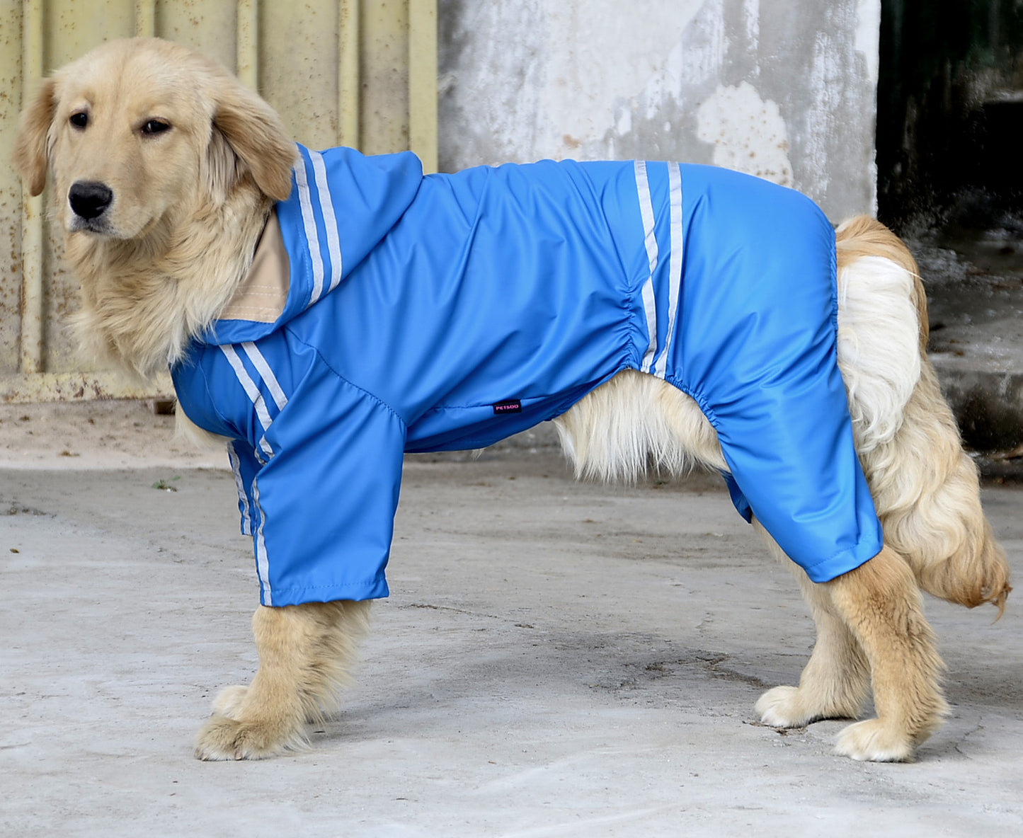 Large and medium dog raincoat