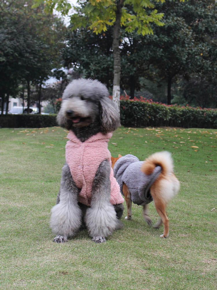 Pet Dog Hooded Sweater Autumn And Winter Style