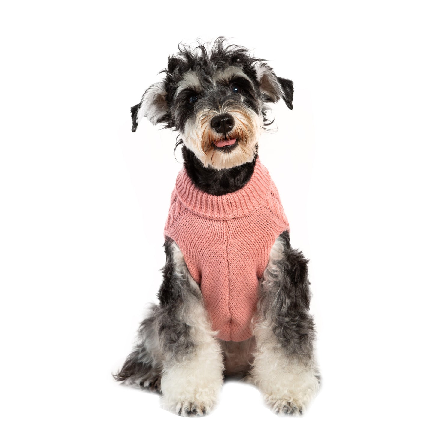 New Autumn And Winter Warm Woolen Pet Clothes