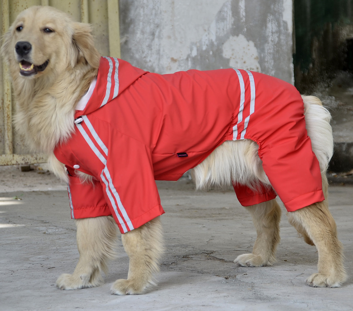 Large and medium dog raincoat