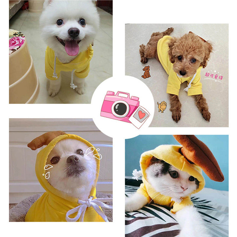 Small And Medium Dog Love Two Legged Cat Cute Pet Clothing