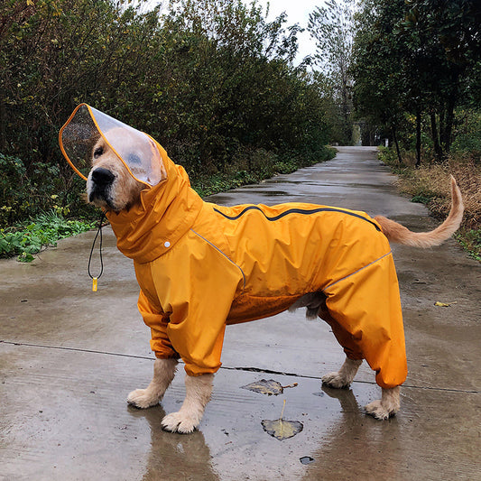 Multicolor Fashion Personality Dog Raincoat Oversized