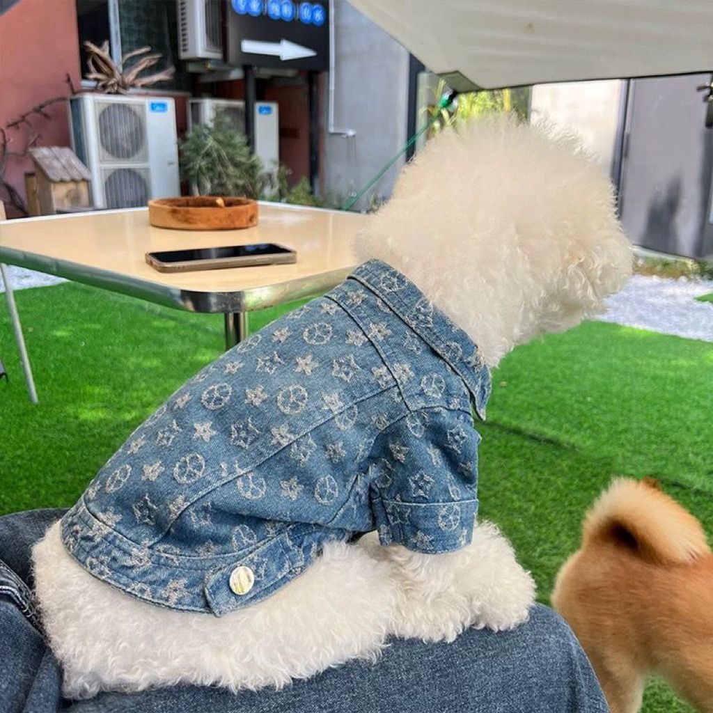 Fashion Dog Denim Jacket Trendy Clothing