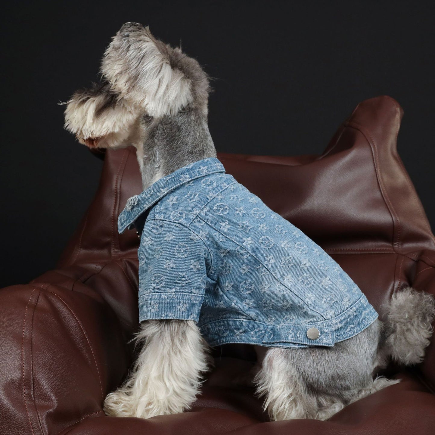 Pet Clothes Spring Summer Presbyopia Denim Shirt