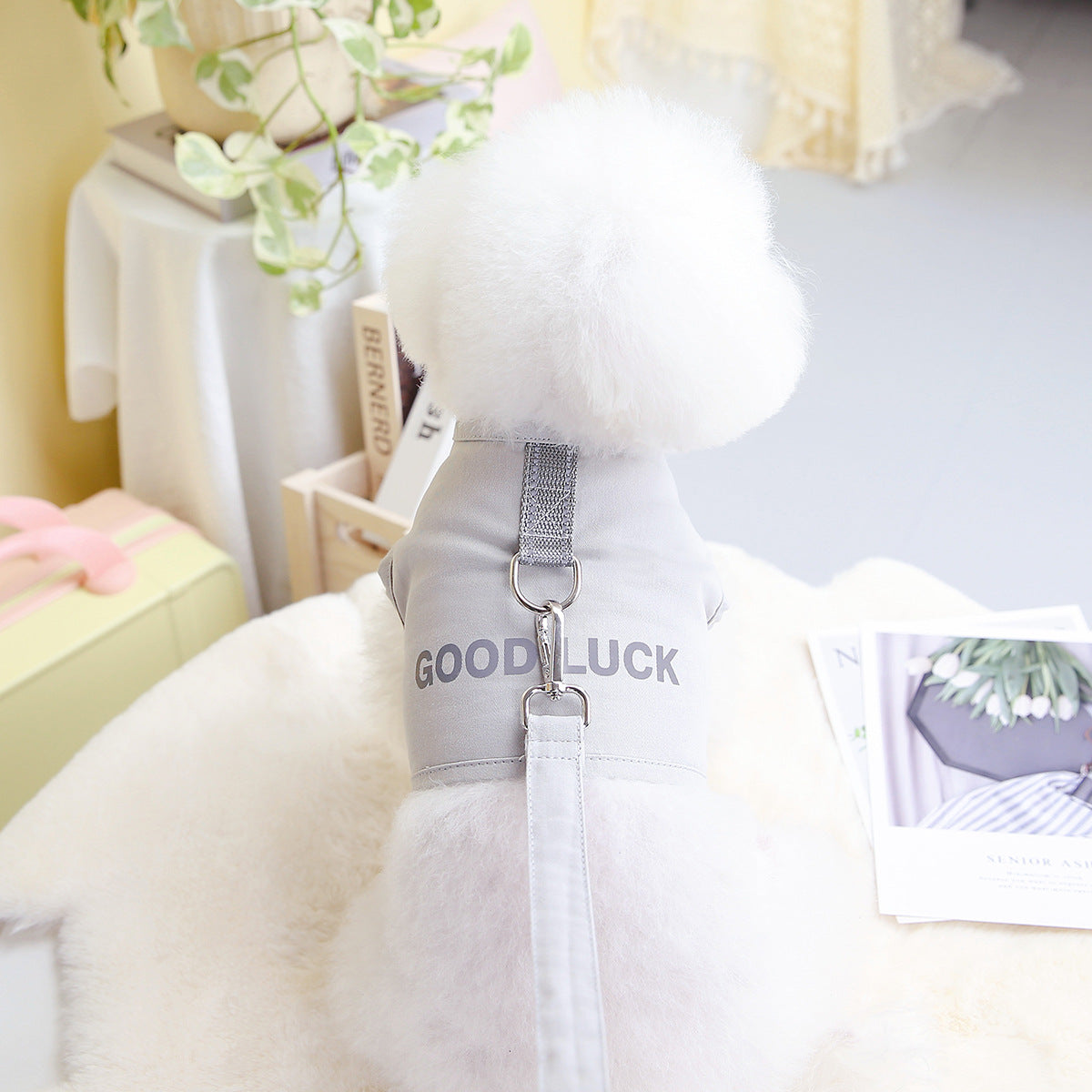 Pet Dog Vest Good Luck Chest Back