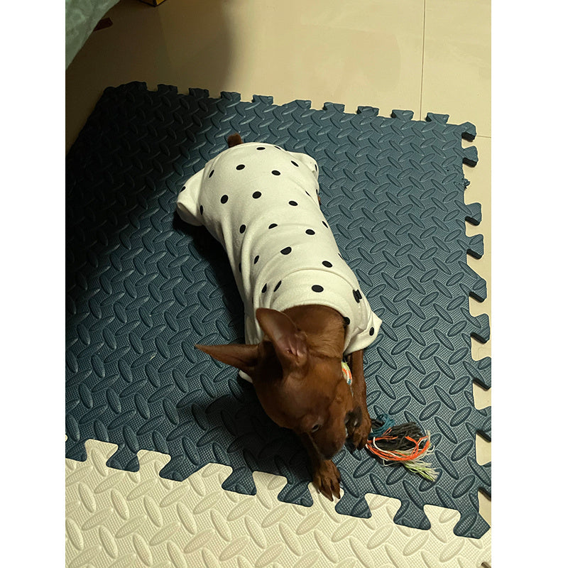 New Style Pet Four Foot Bottomed Household Clothes