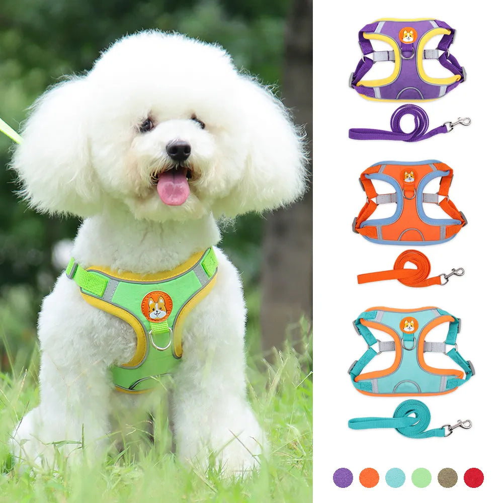 New Dog Leash And Harness Set Pet Dog Harness And Leash Set