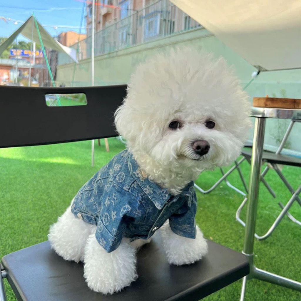 Fashion Dog Denim Jacket Trendy Clothing