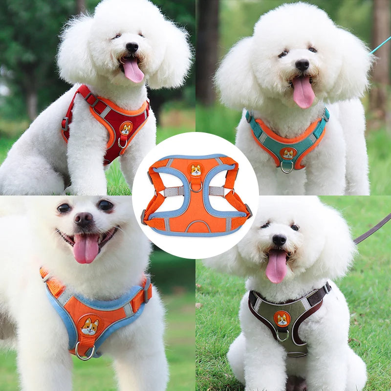 New Dog Leash And Harness Set Pet Dog Harness And Leash Set