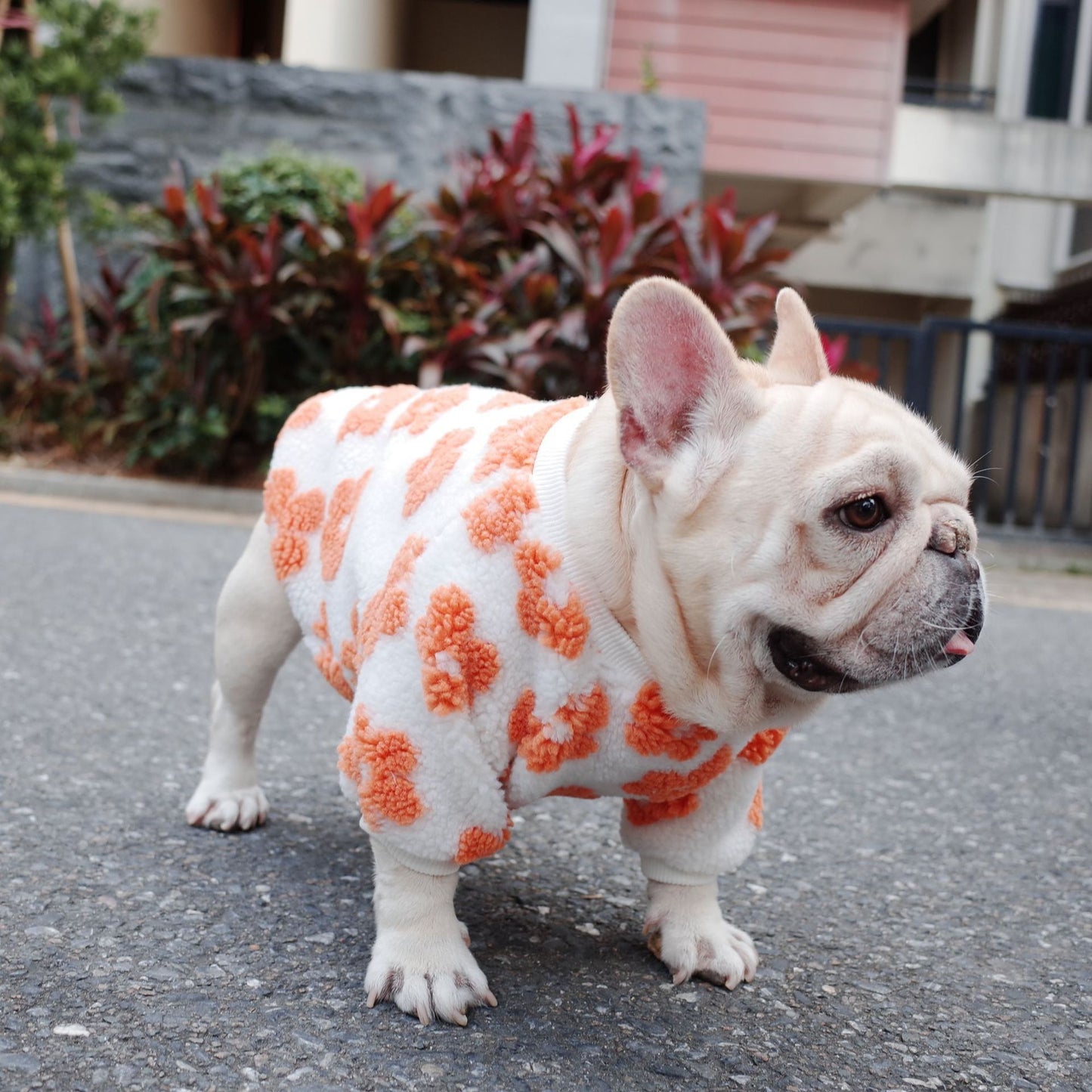 Dog Autumn And Winter Thickened Grain Flower Plush Coat