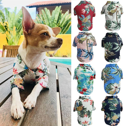 Dog Spring And Summer Thin Shirt Corgi Blue Cat Clothes