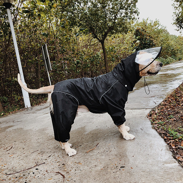 Multicolor Fashion Personality Dog Raincoat Oversized