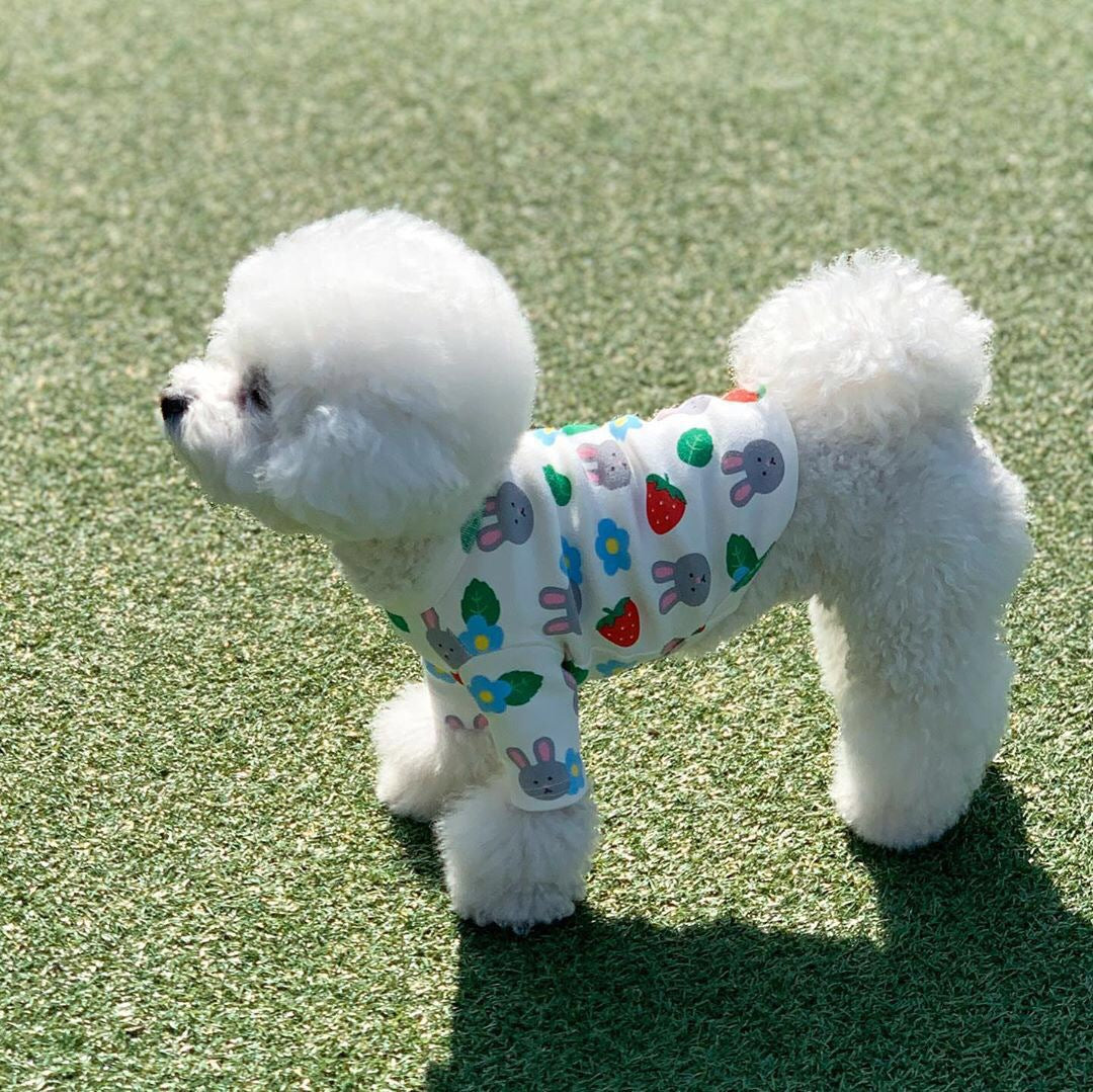 Strawberry Bunny Vest Keep Warm Dog Cute