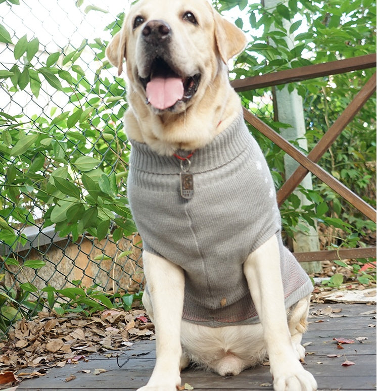 Clothes For Autumn And Winter Warm Dog Cotton Sweater